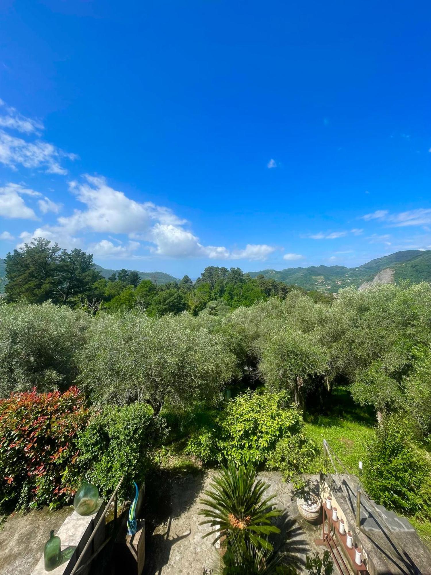 Casa Del Sole Bed & Breakfast Camaiore Exterior foto
